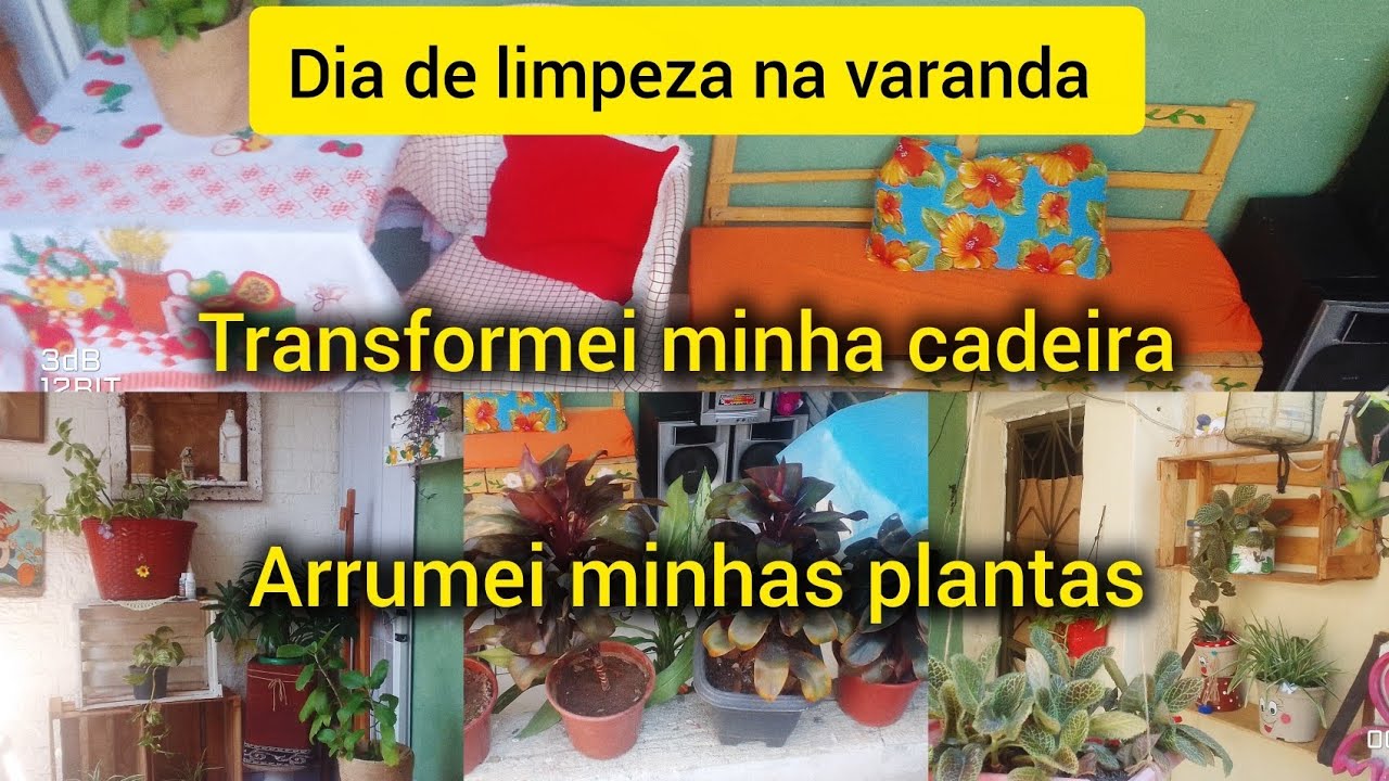 Dia de limpeza!#plantas #diy #reciclandoedecorando 