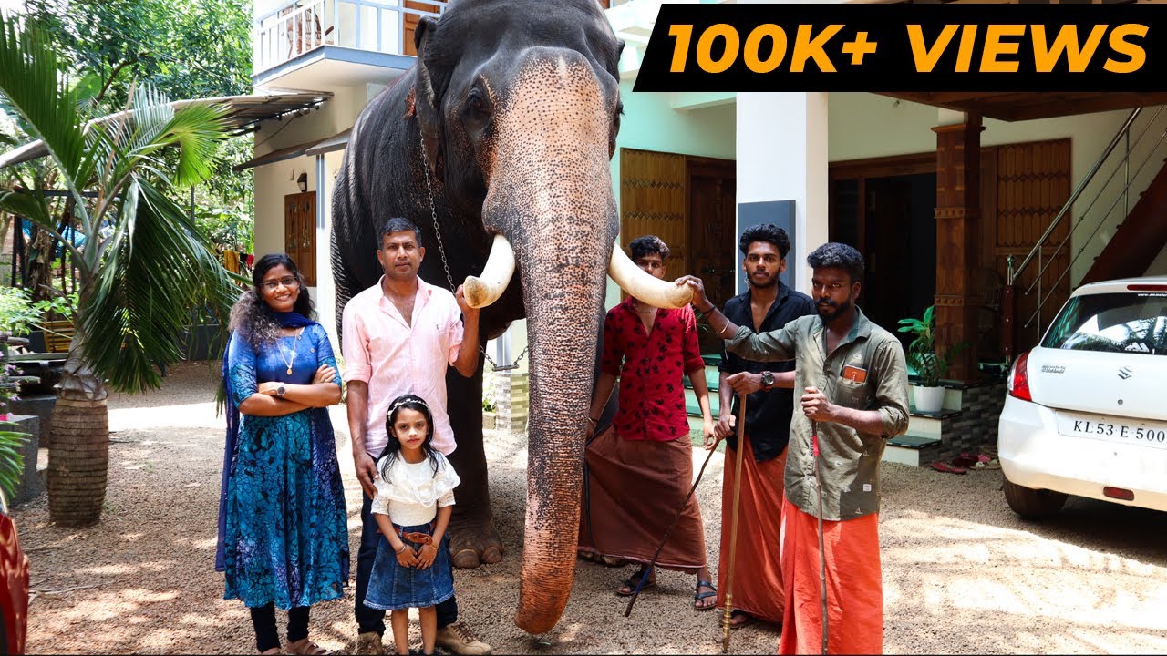 ഗജവീരൻ ശ്രീ അയ്യപ്പനെ പരിചയപ്പെടാം | Kerala Elephant Sree Ayyappan | Cheerulli Media