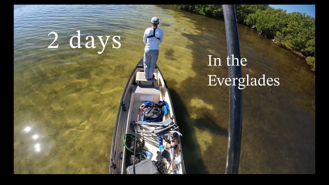 2 days fishing in the Everglades national park sightfishing (flamingo/snake bight)