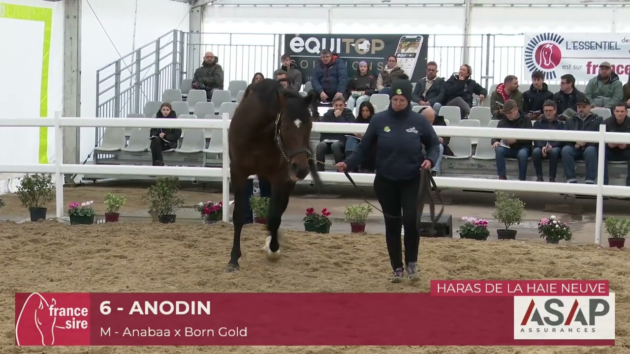 Anodin
