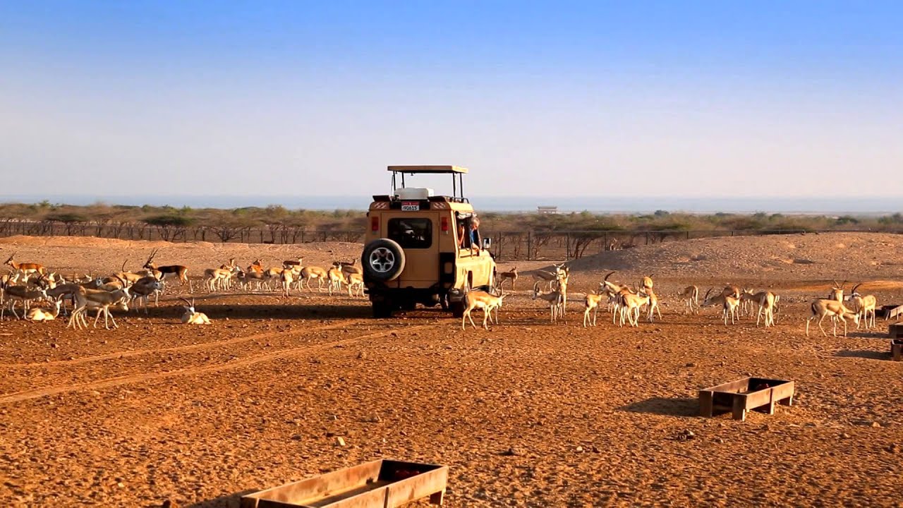 Desert Islands Resort & Spa by Anantara - Revel in royal luxury.