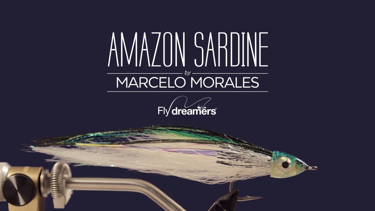 Amazon Sardine - Fly Tying Instructions by Fly dreamers