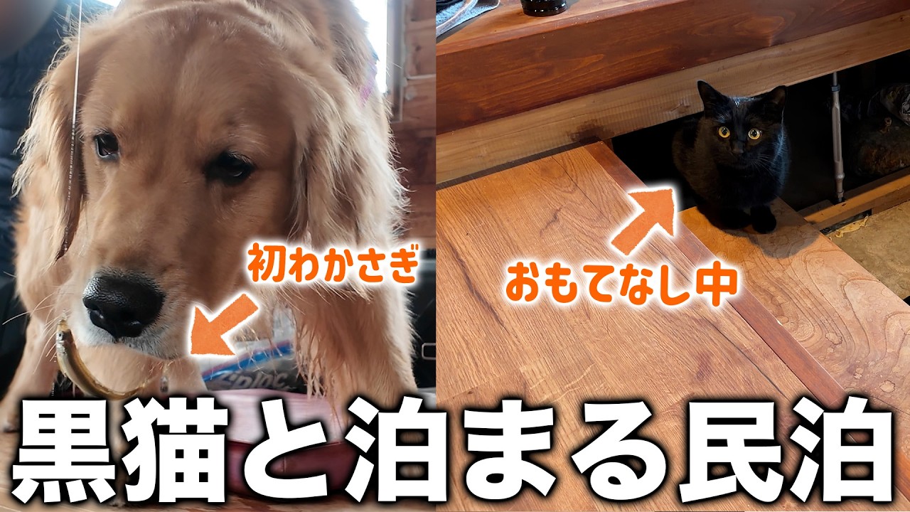 10時間以上かけてたどり着いた極寒の福島で氷上ワカサギ釣りに挑戦【犬と猫と車中泊】