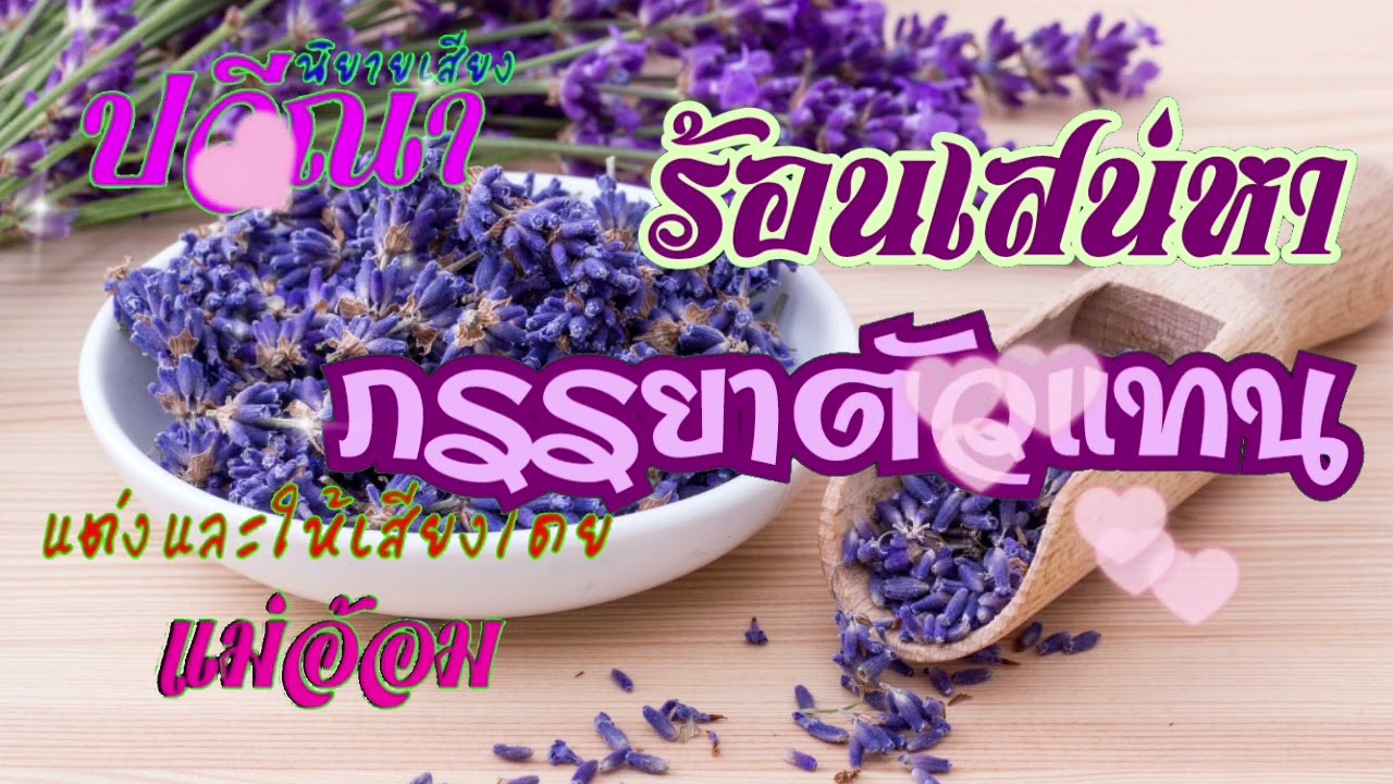 ร้อนเสน่หาภรรยาตัวแทน(จบในตอน) #นิยายเสียง #meeaom