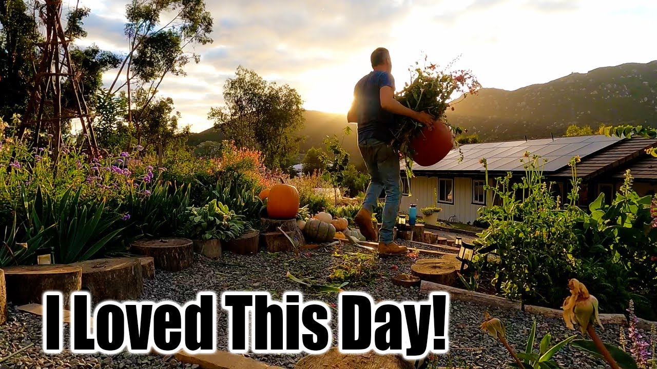 Starting The BARN & Peaceful Cottage Gardening
