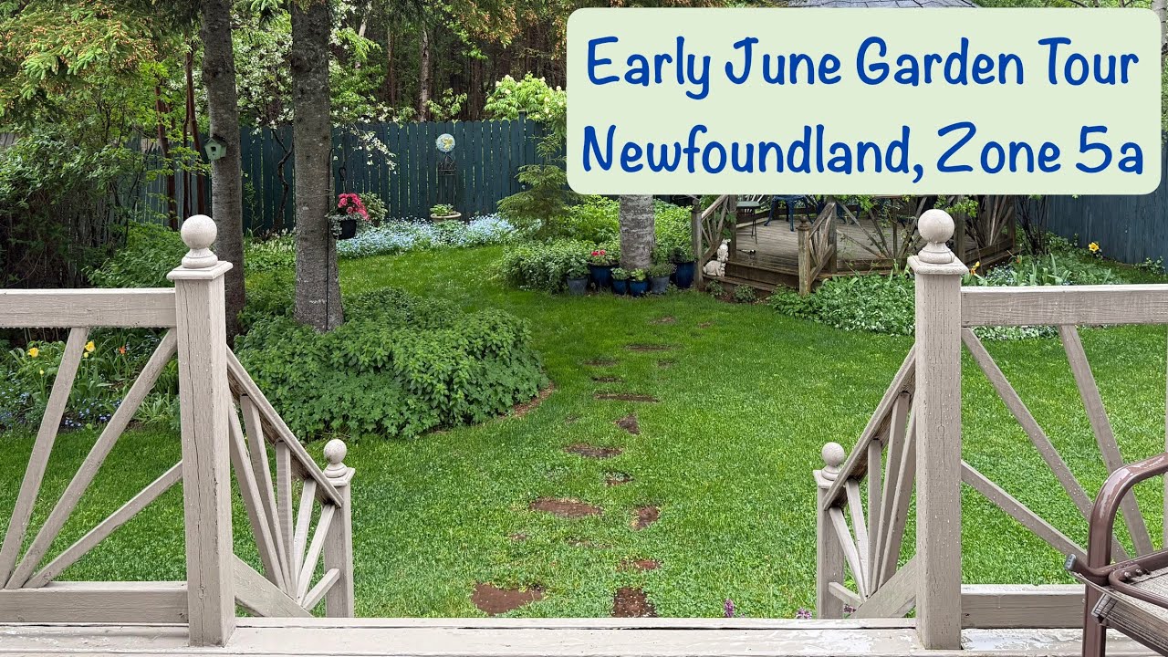 Early #June #Newfoundland #Flower #Garden Tour, 2025! Zone 5a Including my container cutting garden.
