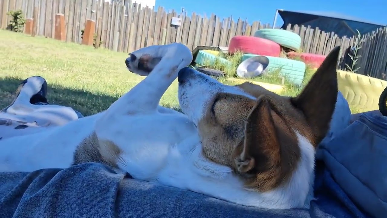 Sisi relaxing 