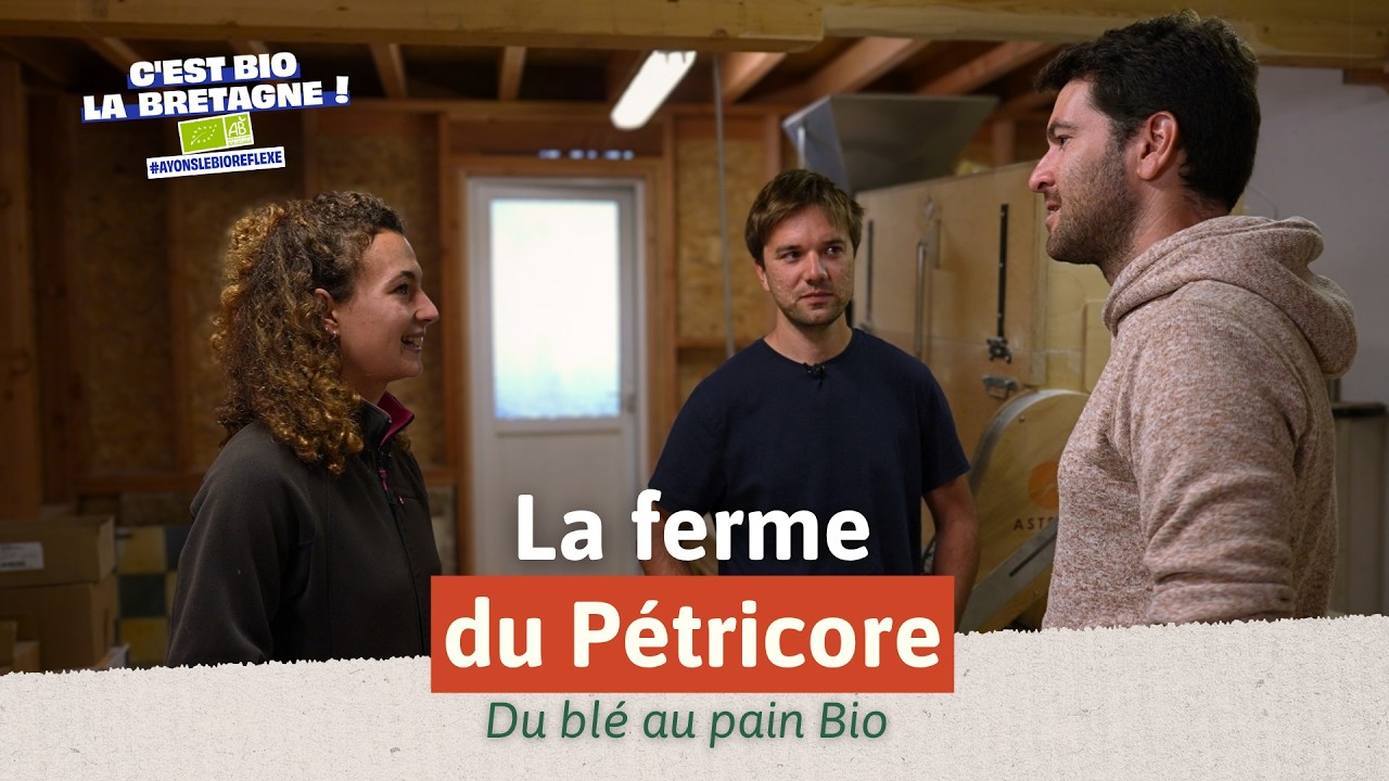 WEBSÉRIE Bio Réflexe - Épisode 1 - Ferme du Pétricore : du blé au pain Bio