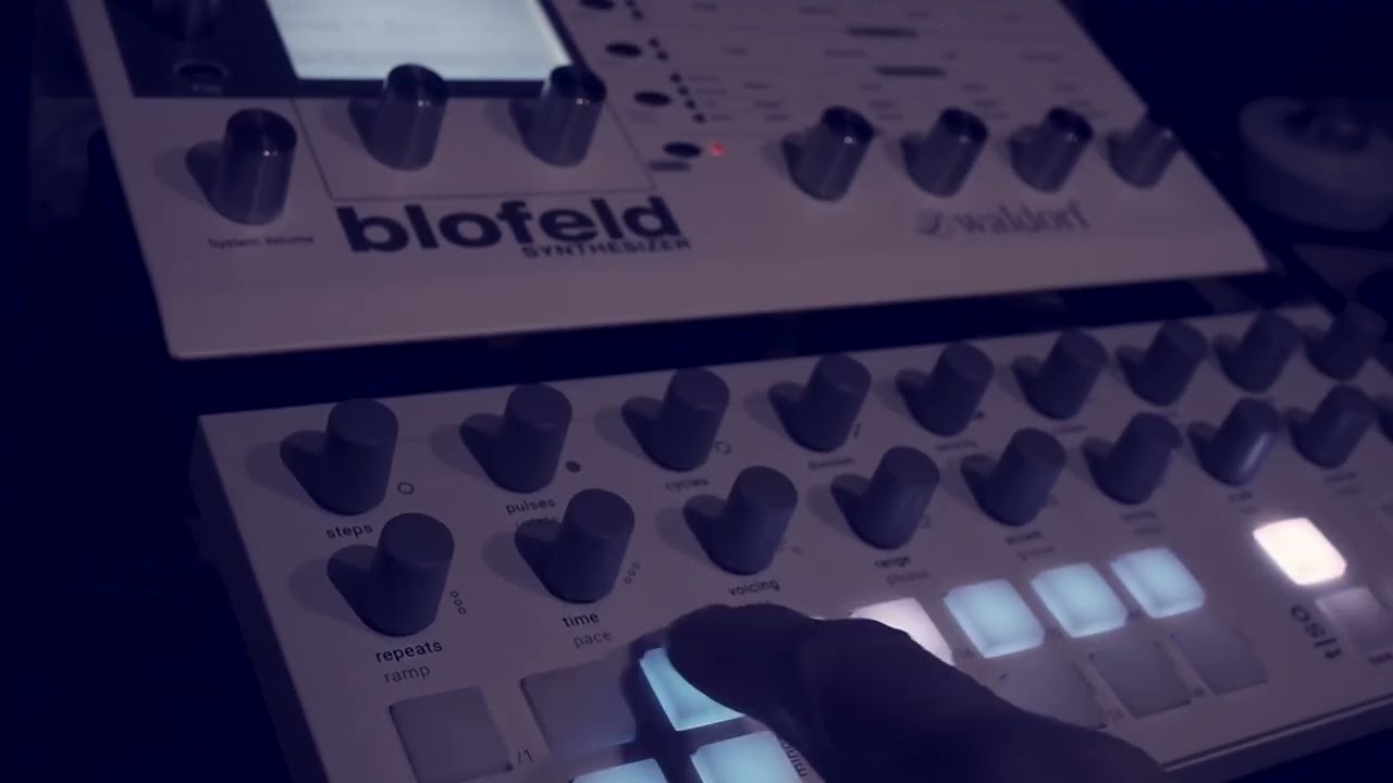 #86 Waldorf Blofeld | Torso T1
