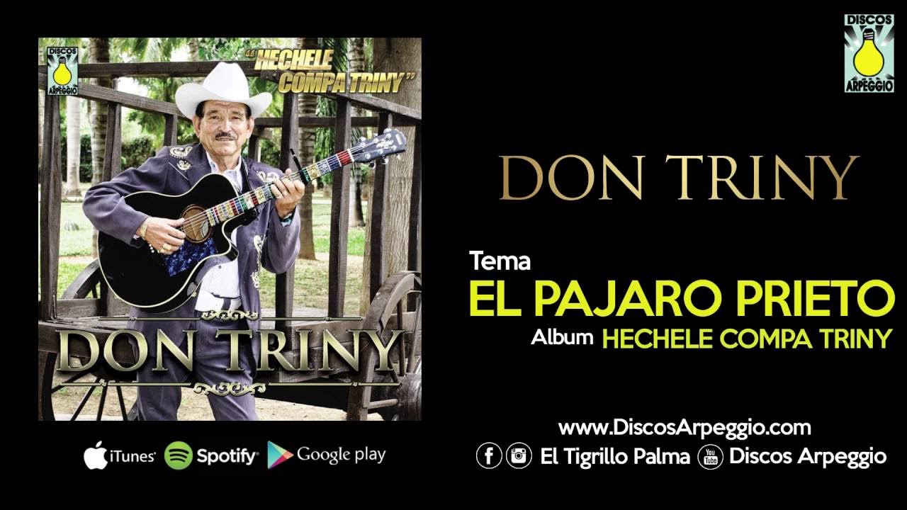 DON TRINY -  El Pajaro Prieto  ( AUDIO OFICIAL)