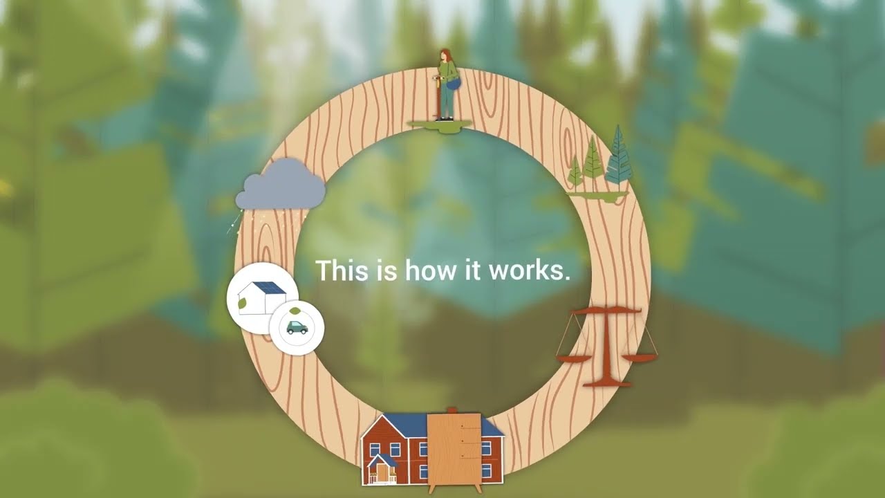 The cycle of the Swedish forest industry