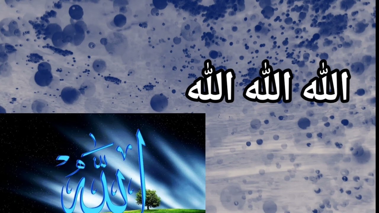 طهر جنانك بالاذكار مع فيك - الله الله الله - كلمات: للشيخ البرعي