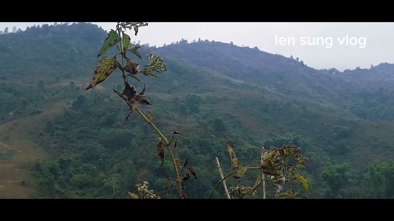 Bản làng xa nhất của cực tây