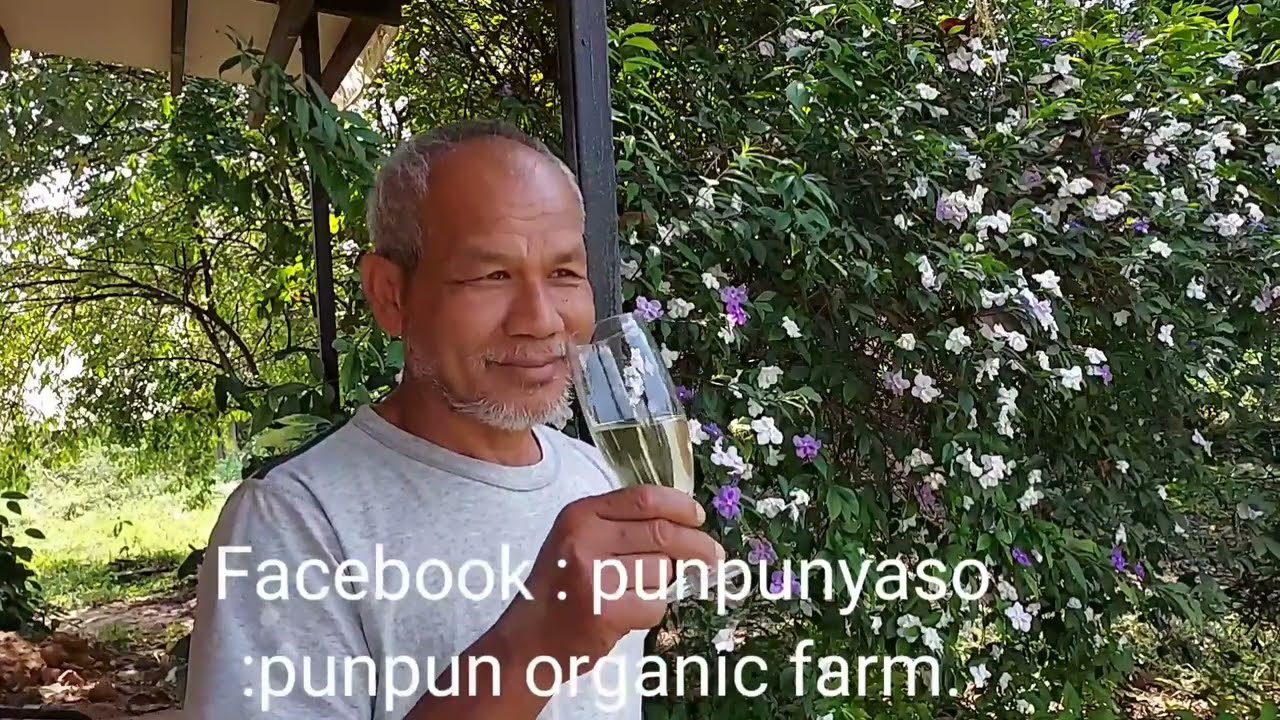 สาโทและข้าวหมาก การพึ่งตนเองของชาวบ้าน