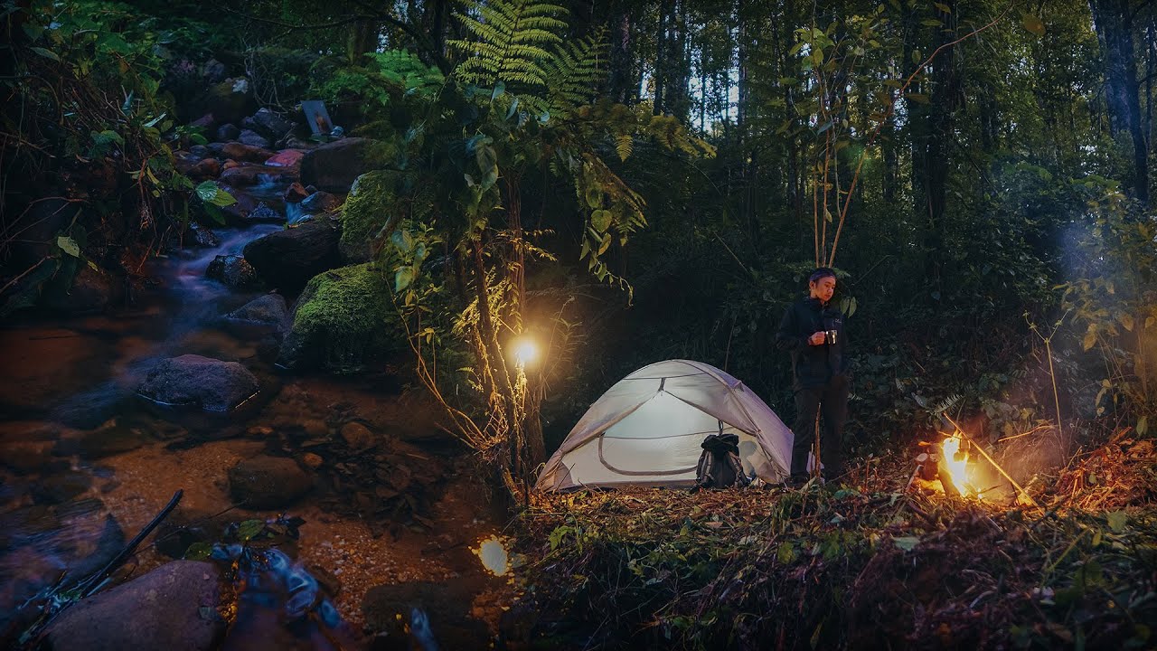 Camping di Dekat Aliran Sungai Kecil Yang Jernih | Sangat Menenangkan