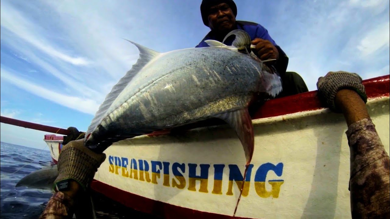 pertarungan dasar laut‼️ fight with GT 19kg || spearfishing Indonesia