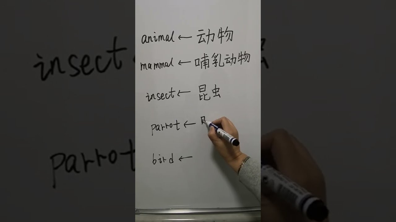 Learn chinese for beginners : Bird #Shorts #learnmandarin #learnchinese #chinese #mandrain #china #1