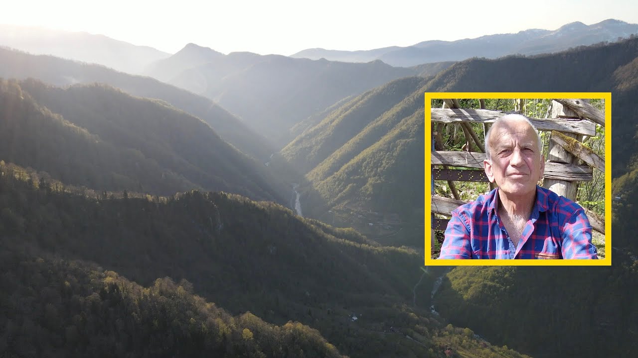 40 Years Protecting Georgian Wildlife - 