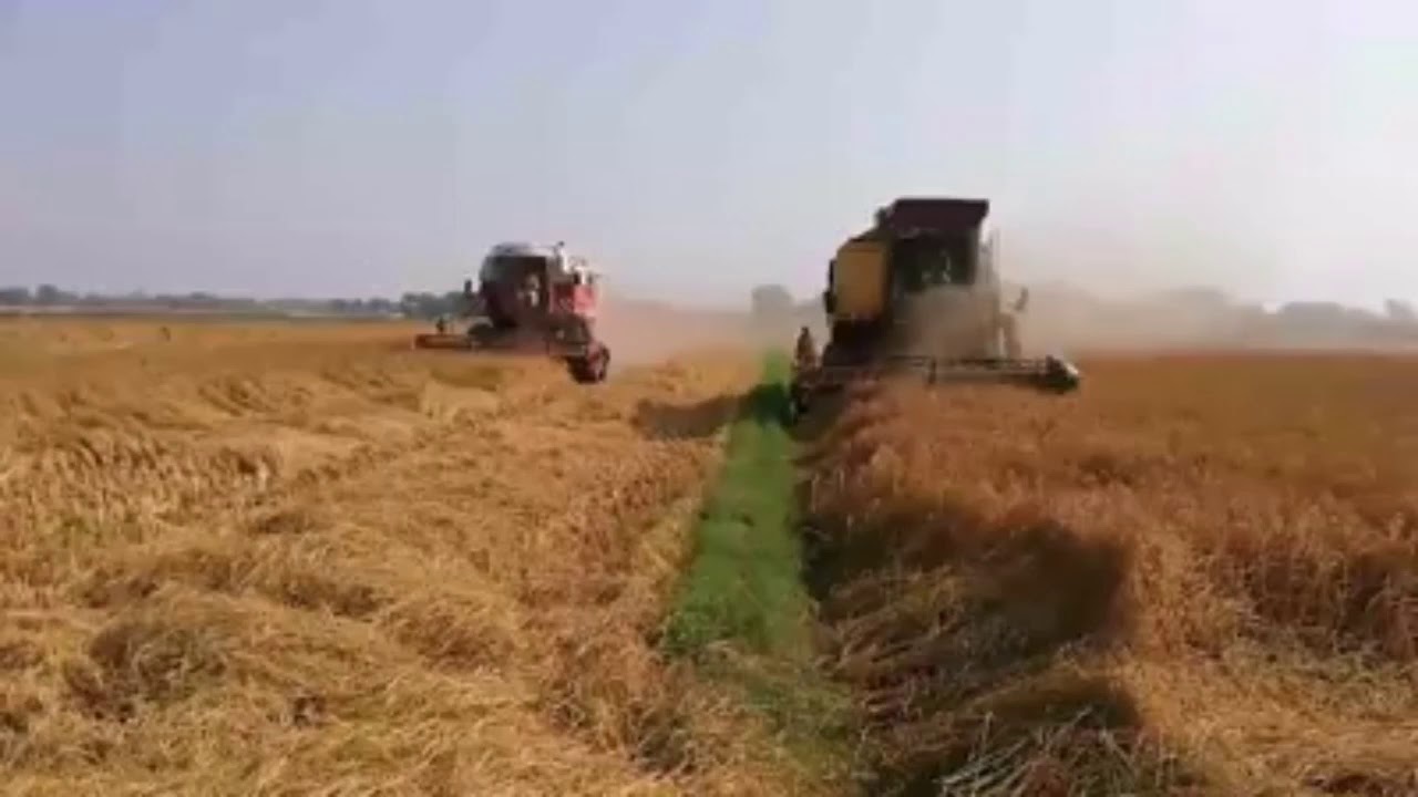 مقابلہ 8070..لواڈا ۔۔3650۔🎠🎠🎠