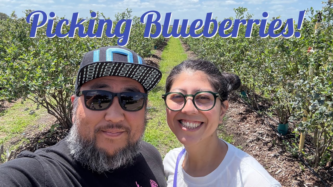 We Try Picking Blueberries at Southern Hill Farms!