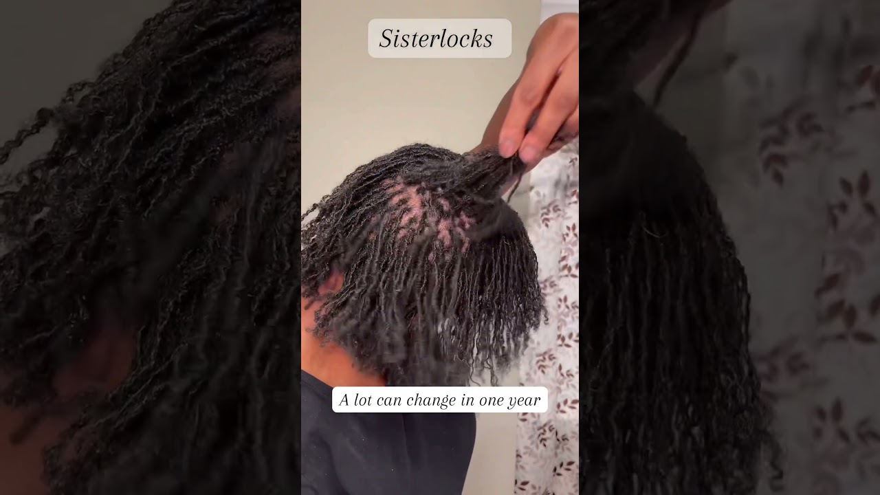 Sisterlocks in one year #sisterlocks #microlocs #sisterlockstyles #locjourney #locstyles