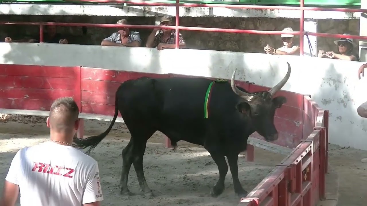 aramon