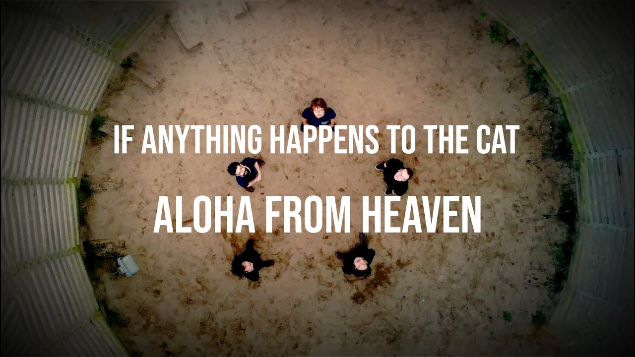 If Anything Happens To The Cat - Aloha from Heaven (Official Video)