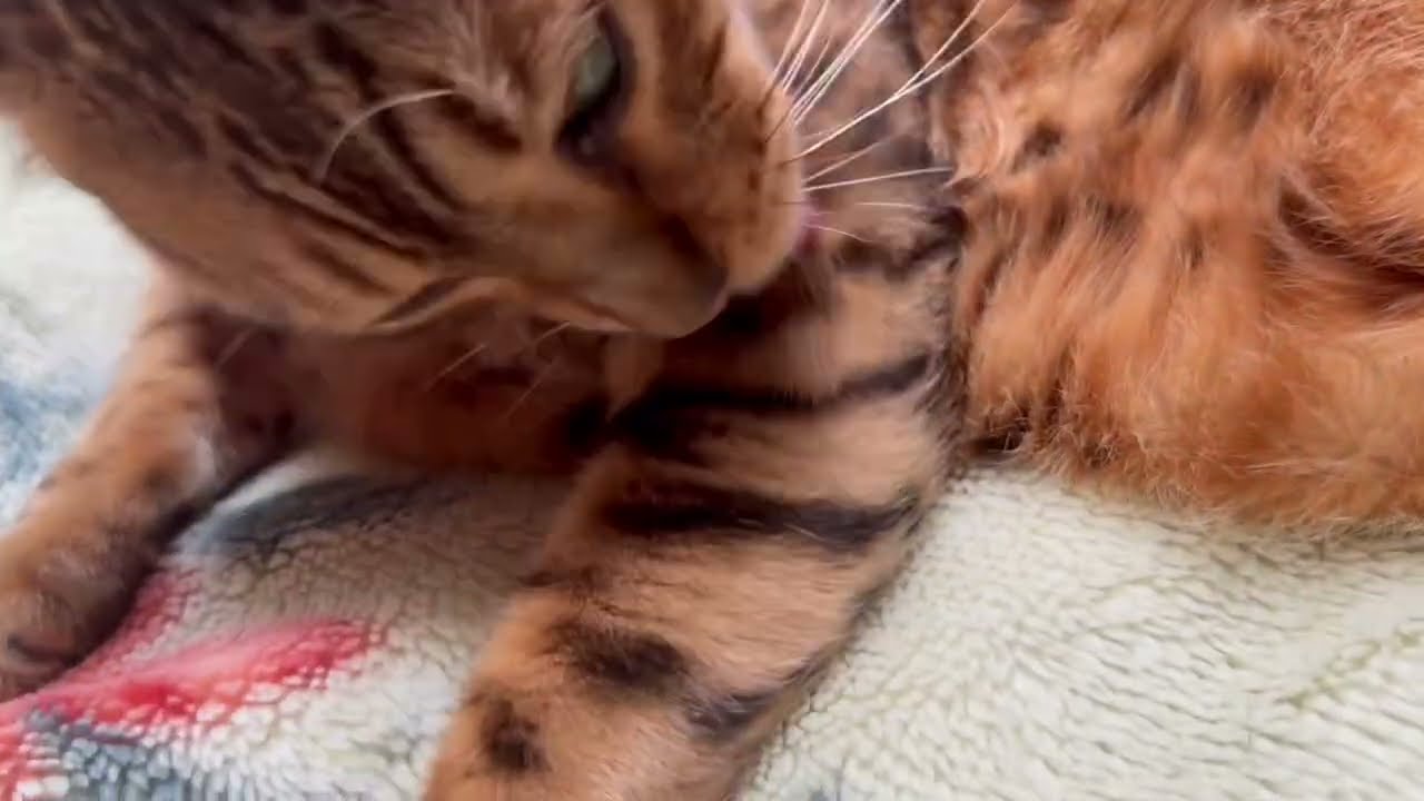 今日のヨメミ23