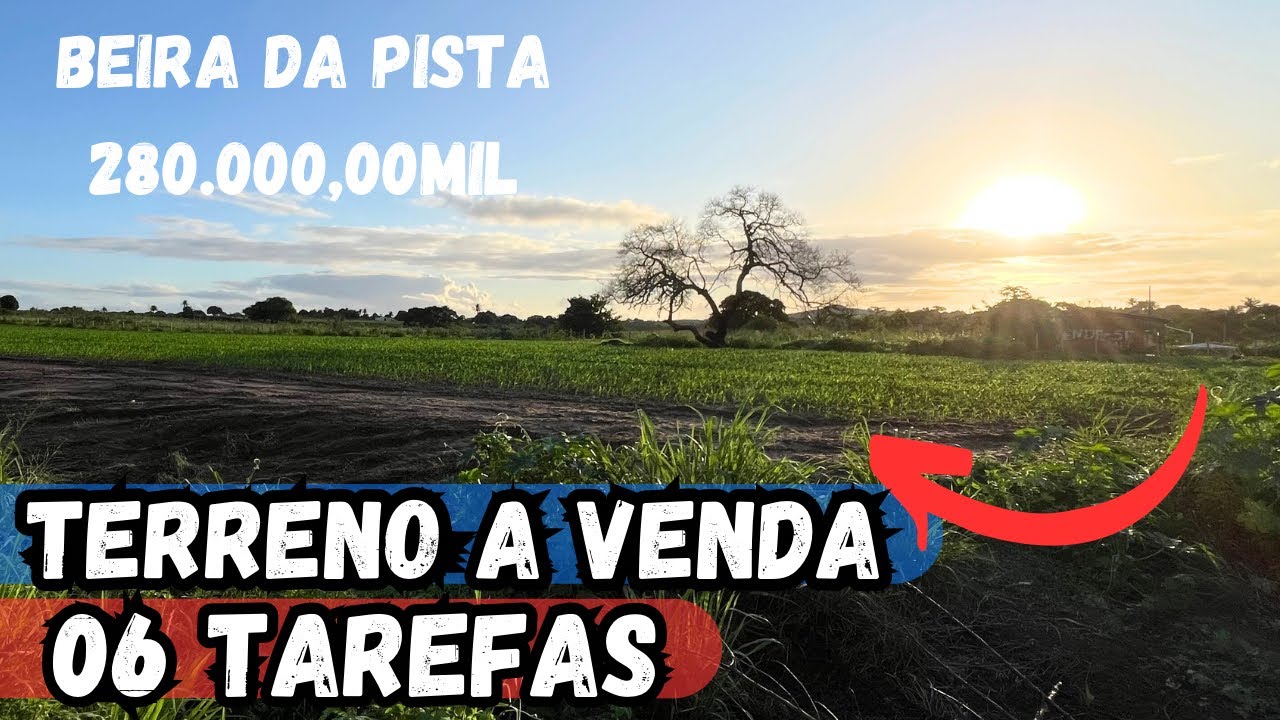 TERRENO A VENDA OPORTUNIDADE 06 TAREFAS TODA PARA PLANTAR OU FAZER UM LOTEAMENTO AS MARGENS DA AL115