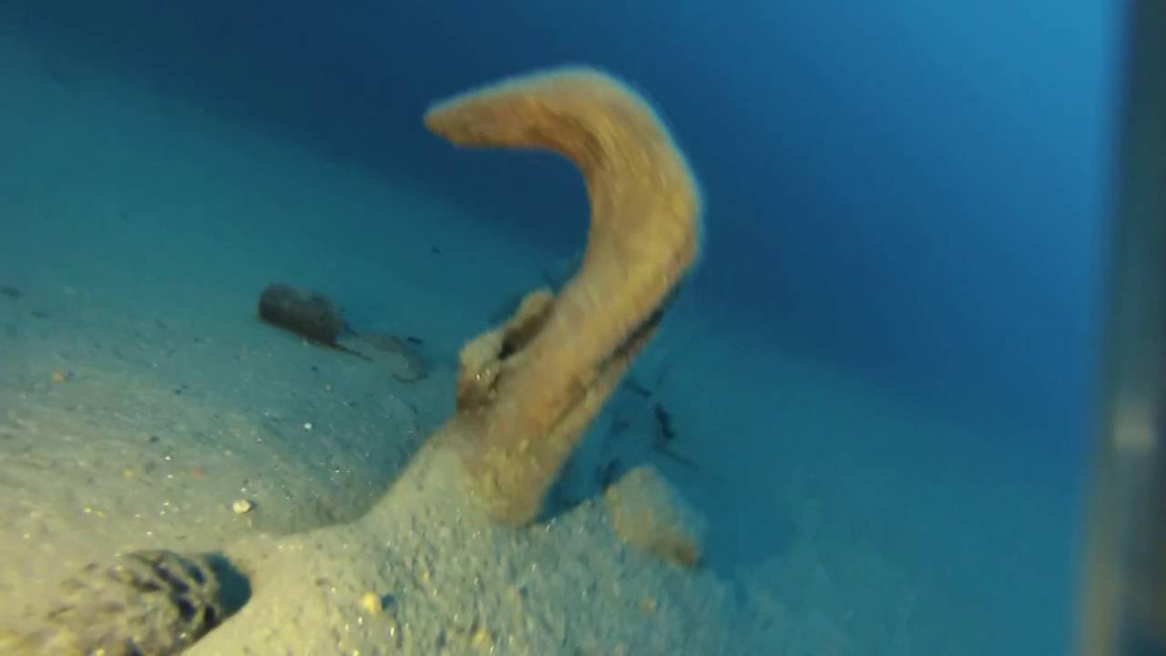 From beach to 1400 feet deep in Tahoe