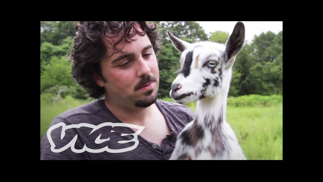 Cute Pygmy Goats! | The Cute Show