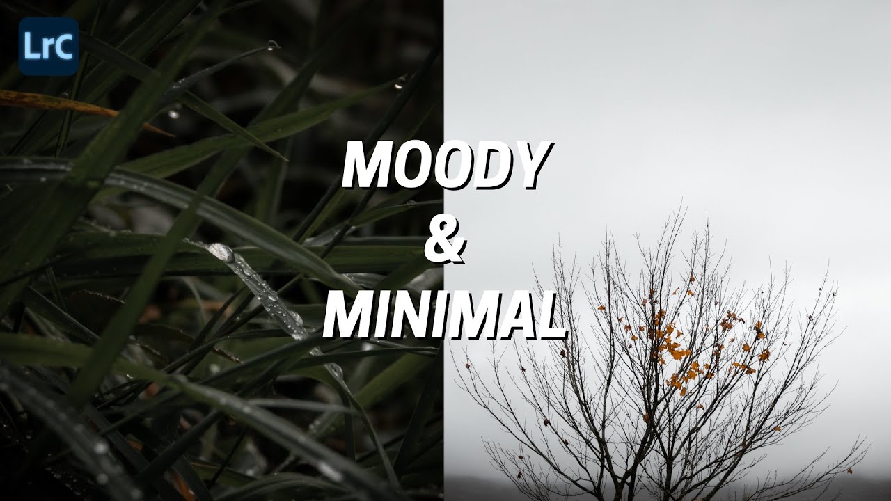 How To Edit MOODY & MINIMAL Style Nature Photos in Lightroom 2021