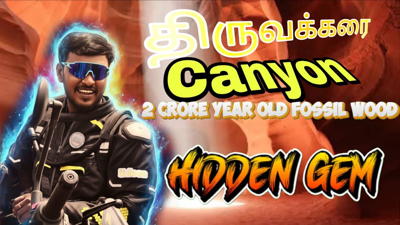 2 Crore Year Old Fossil Wood (புதைபடிவம்) | Secret Place Near Pondicherry In Villupuram District|🏍️