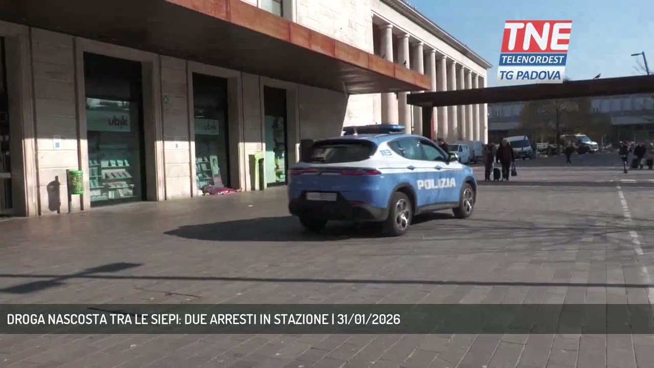 Наркотики, спрятанные в живой изгороди: два ареста в полицейском участке | 31 января 2026 г.