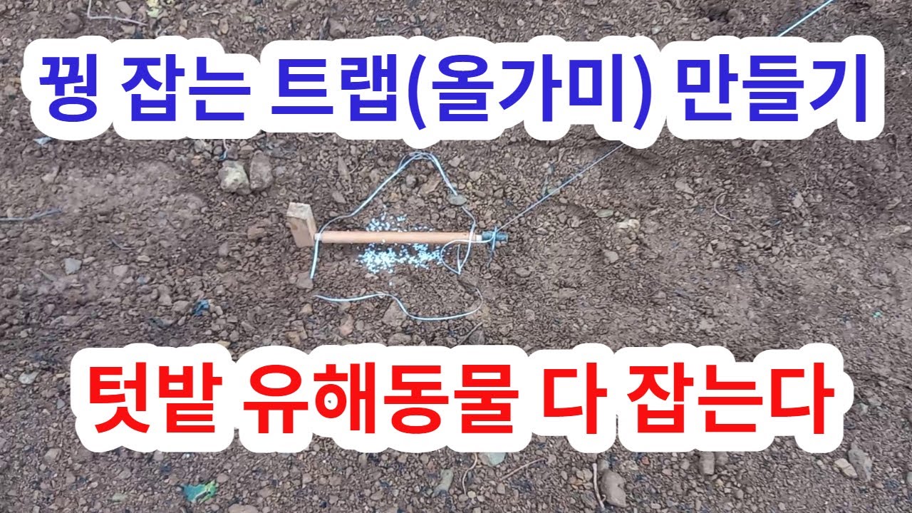 꿩잡는 트랩 올가미 농작물 유해동물 퇴치 유해조수 퇴치 텃밭 유해동물 포획