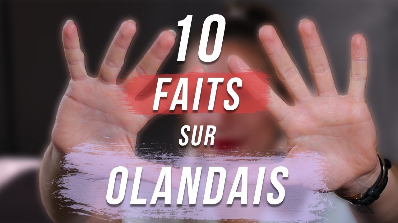 10 FAITS SUR MON CHEVAL - OLANDAIS DU GONGE 🦄