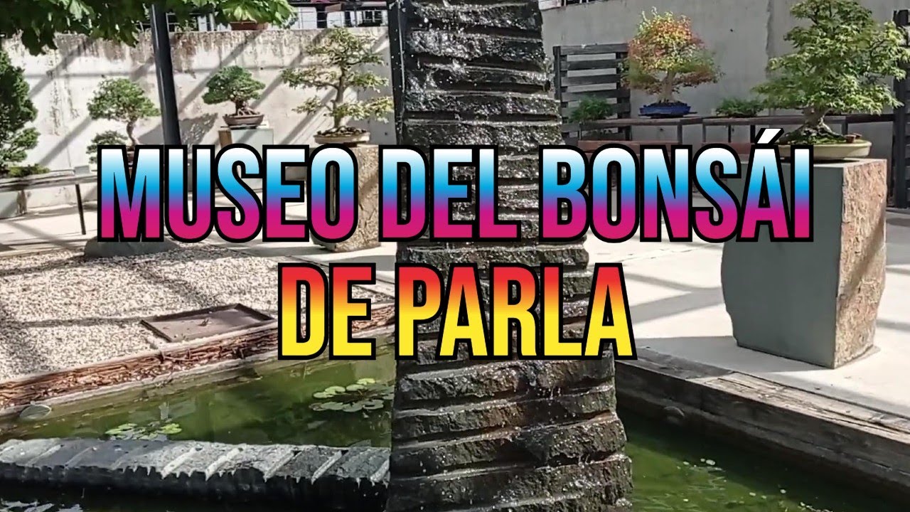 Visita al Museo del Bonsái de Parla 🌳🍁😉