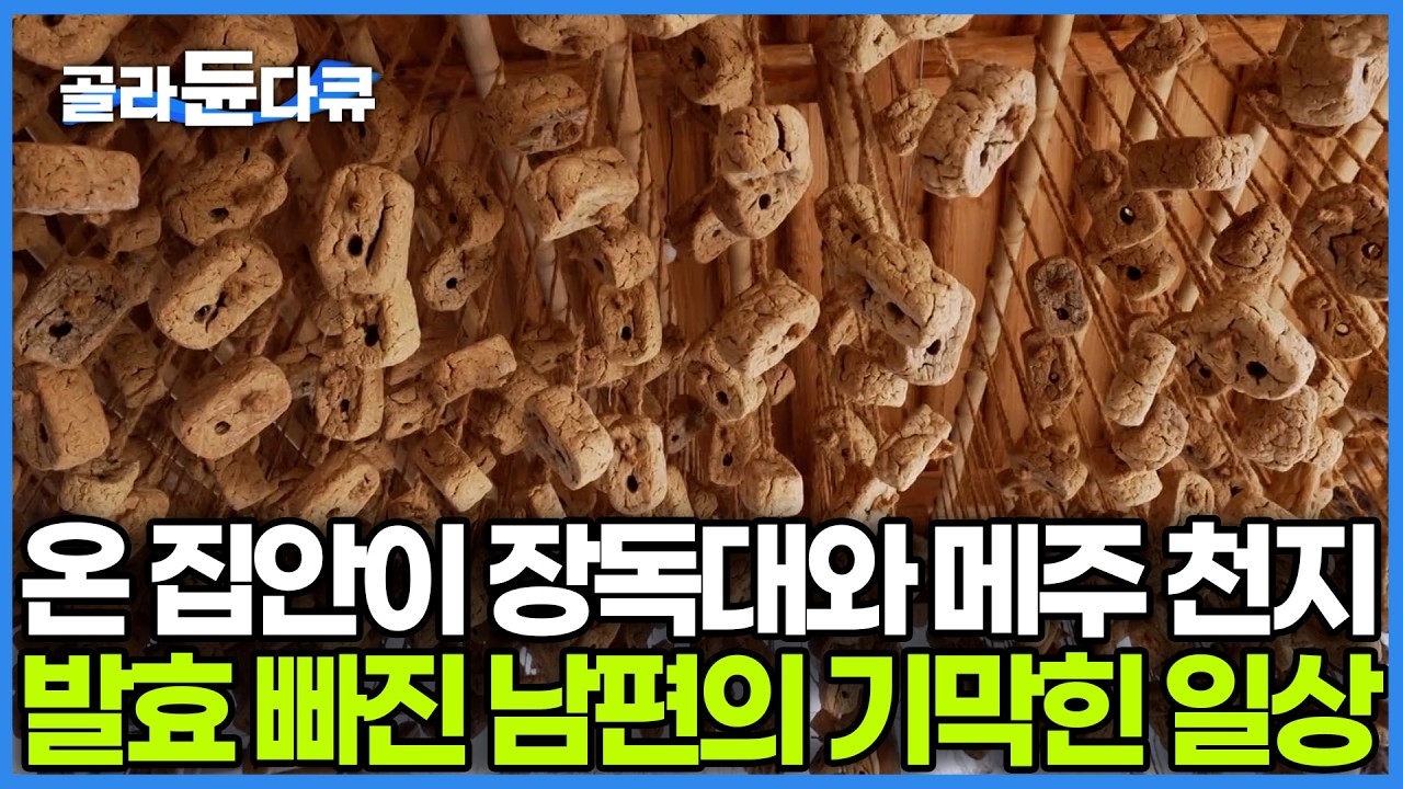 15년 전 사표 내고 귀촌해 5식구 삼시세끼 차리는 남편. 발효에 빠진 아빠 덕에 마당 가득 장독대와 메주가 익어가는 그림 같은 풍경은 덤｜유쾌한 귀촌 밥상｜한국기행｜#골라듄다큐