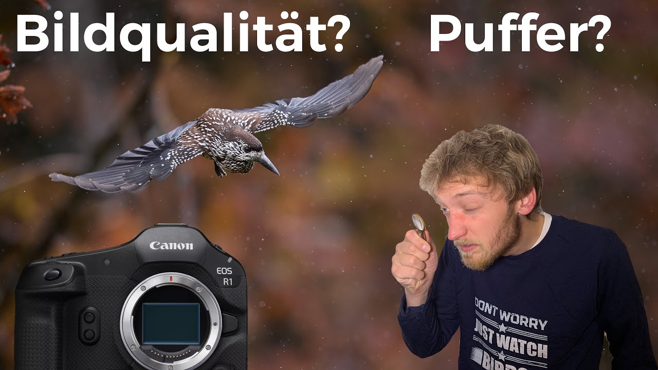 Canon R5 II & R1 : RAW oder cRAW für Wildlife & Speicherkarten-Empfehlung