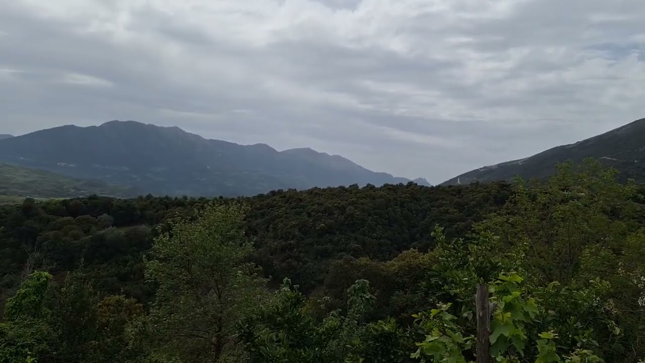 Σιστρούνι Λάκκας Σουλίου (άνοιξη)