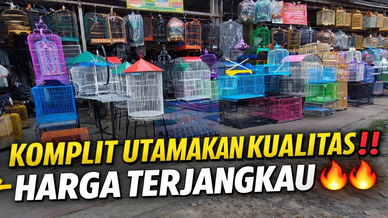 KOMPLIT ‼️ UPDATE SANGKAR TERBARU 2026 DI LUAR PASAR BURUNG PRAMUKA KIOS DJ KICAU JAYA