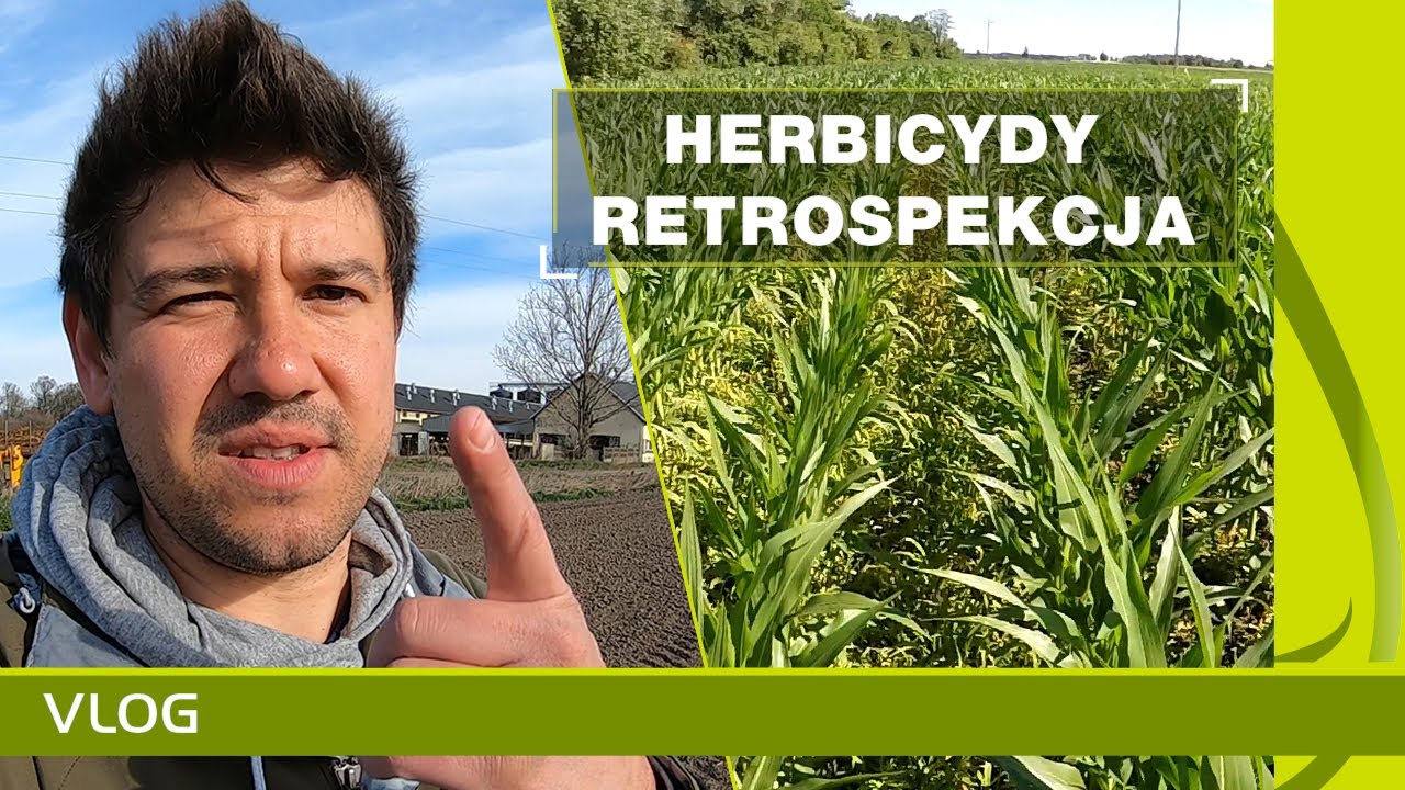 Jakie herbicydy w ochronie kukurydzy na sezon 2020. Por&oacute;wnanie z rokiem 2019.