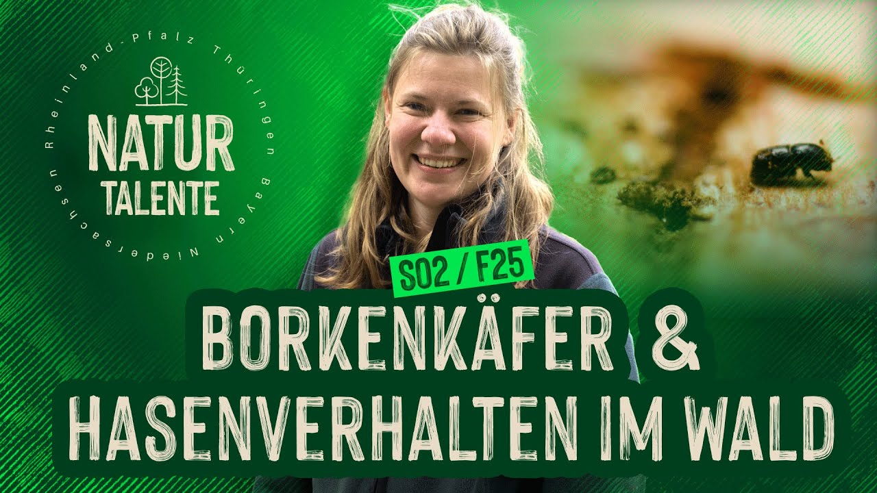 Waldbeobachtung: Borkenkäfer und Hasen🔍| #NATURTALENTE Folge 25 I Staffel 2