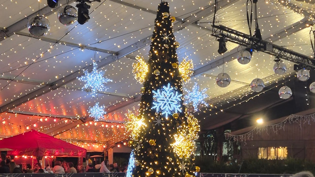 Walibi Belgium à Noël, ça donne quoi ? ( vlog accompagné de @parc_coaster ) #vlog 
