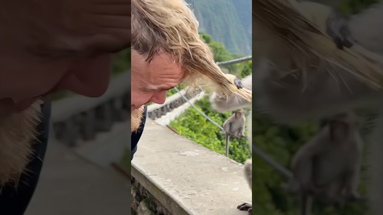 Aggressive Monkey | Jake in Vietnam🇻🇳(3)