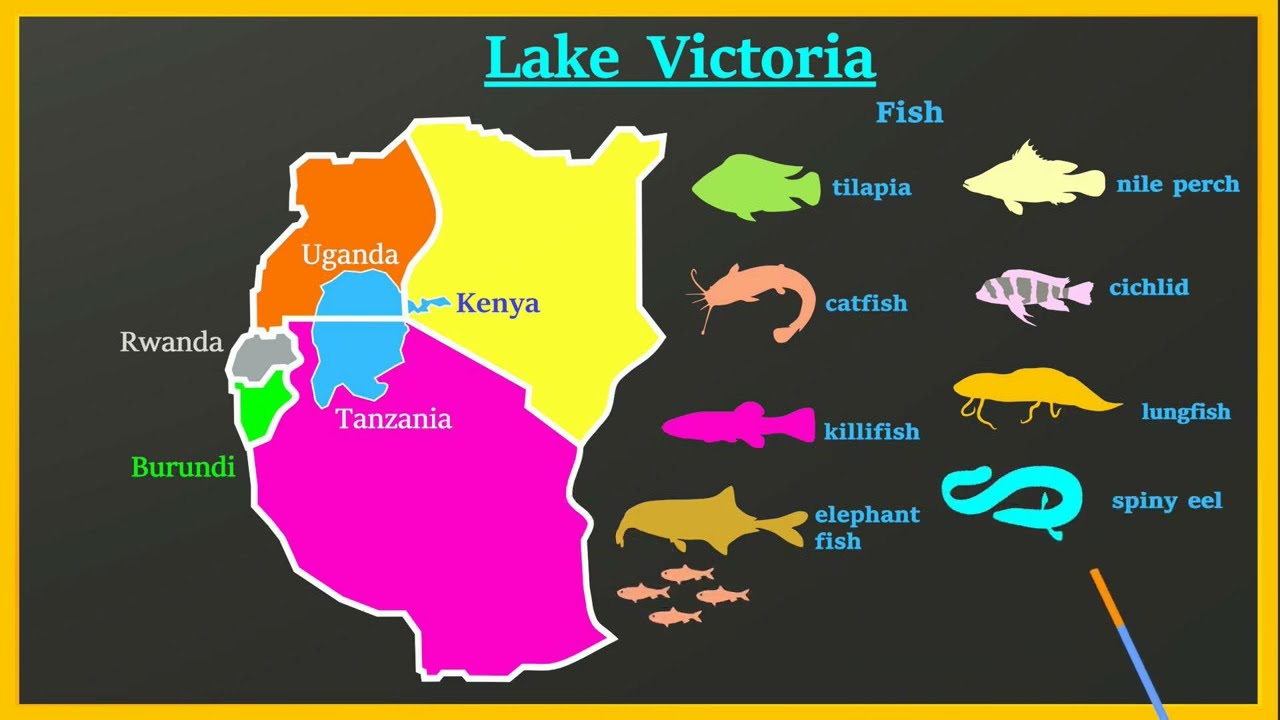 Lake Victoria - largest lake in Africa
