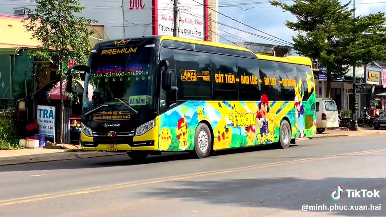 Tổng hợp xe khách Việt Nam 🇻🇳 (P10) #xekhachvietnam🇻🇳 #xekháchgiườngnằm