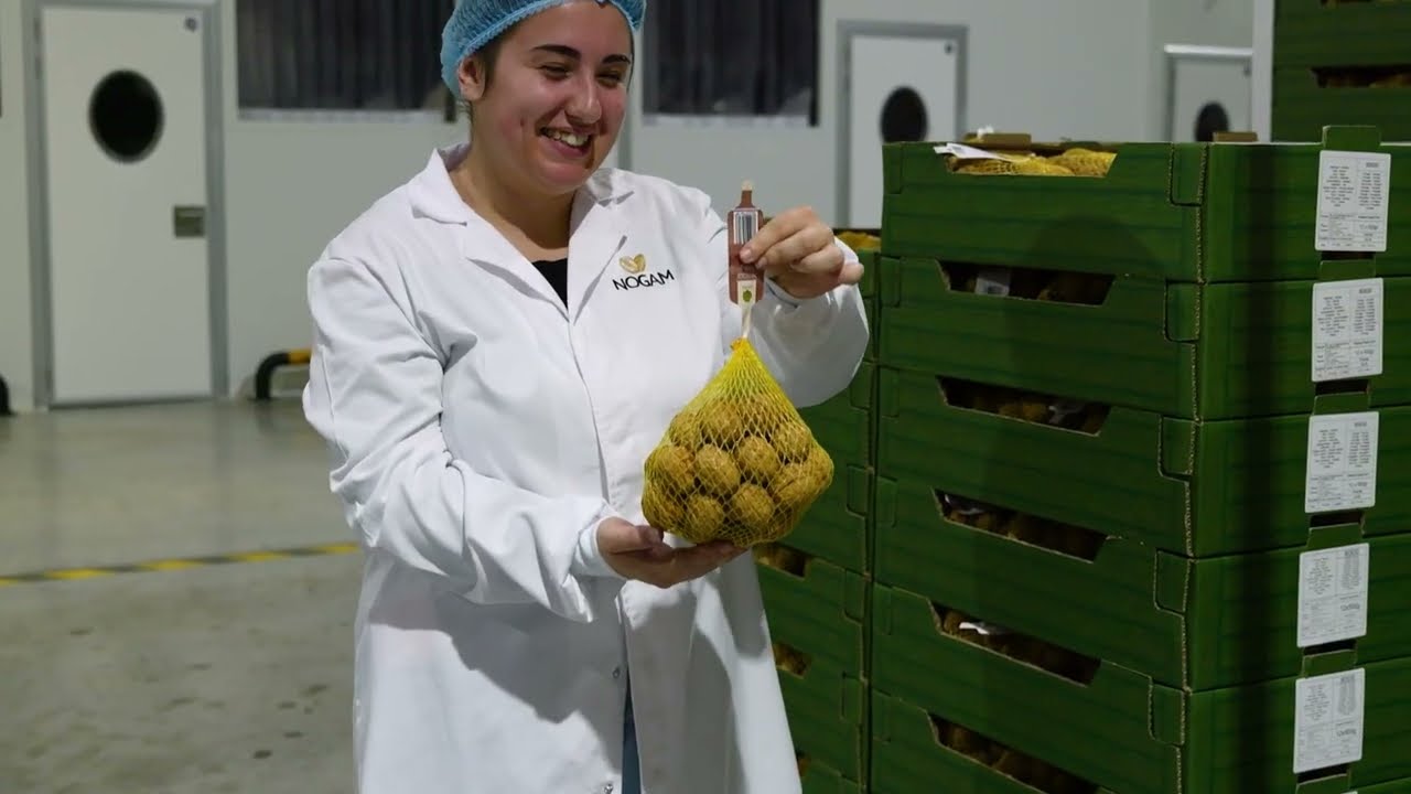 IV Balanço de Campanha dos Frutos Secos