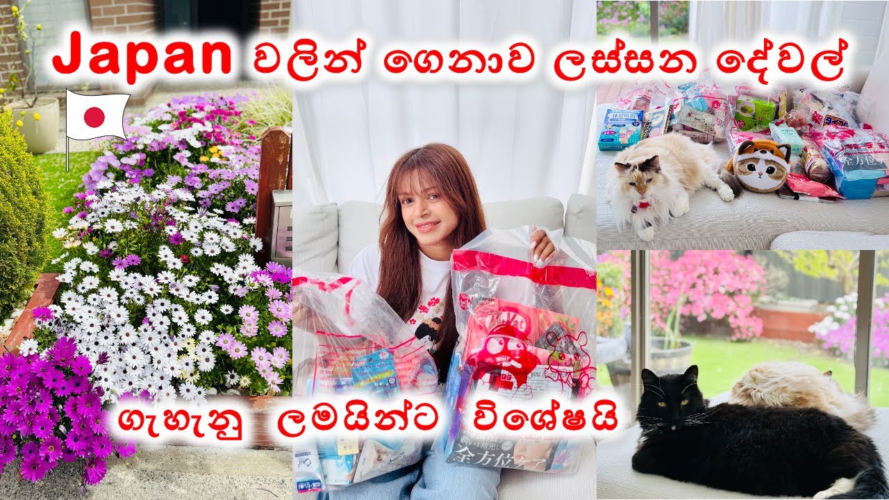 අද වෙනස් විදියක Vlog එකක් | 🇯🇵 ජපානයෙන් ගත්තු අමුතු දේවල් | Japan Shopping Haul | Sinhala Vlog