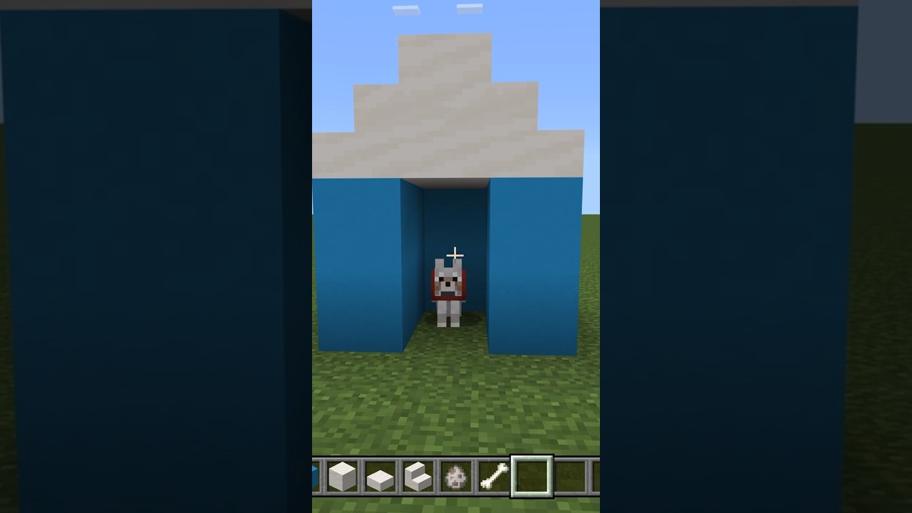 Making a dog house for my dog#DiamondCraft #shorts